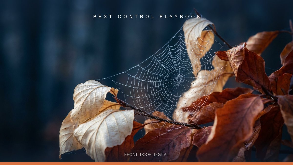 Macro close-up of a dewy spider web stretched across cream and terracotta autumn leaves