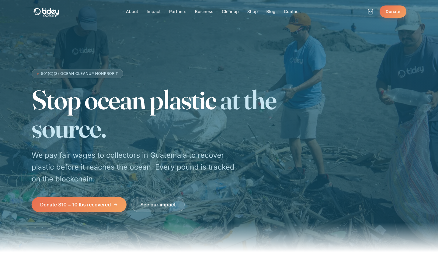 Tidey Ocean Foundation new homepage