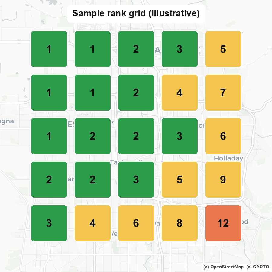 Sample rank grid heatmap showing rankings across a service area